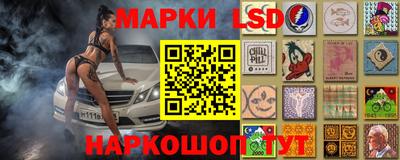 спиды Новозыбков