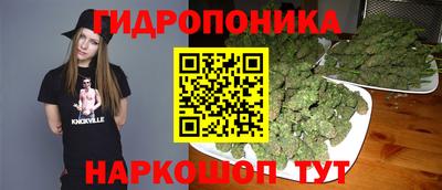 спиды Новозыбков