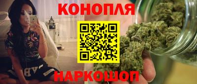 спиды Новозыбков