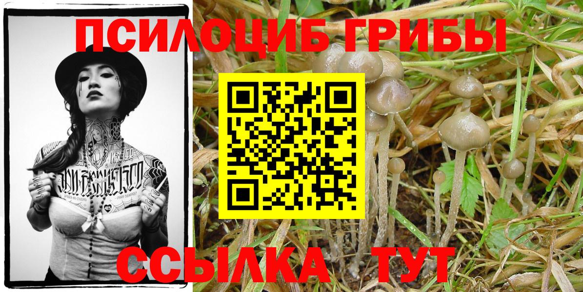 Галлюциногенные грибы Psilocybe  цены   Псилоцибиновые грибы Magic Shrooms  Троицк  Вход с VPN 